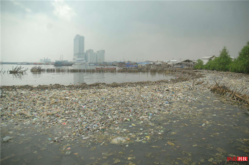 photo%2F0009%2F2019-03-07%2FE9LBCM7N0AI20009NOS