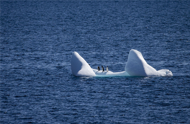 photo%2F0009%2F2019-03-19%2FEAK999RI0AI20009NOS