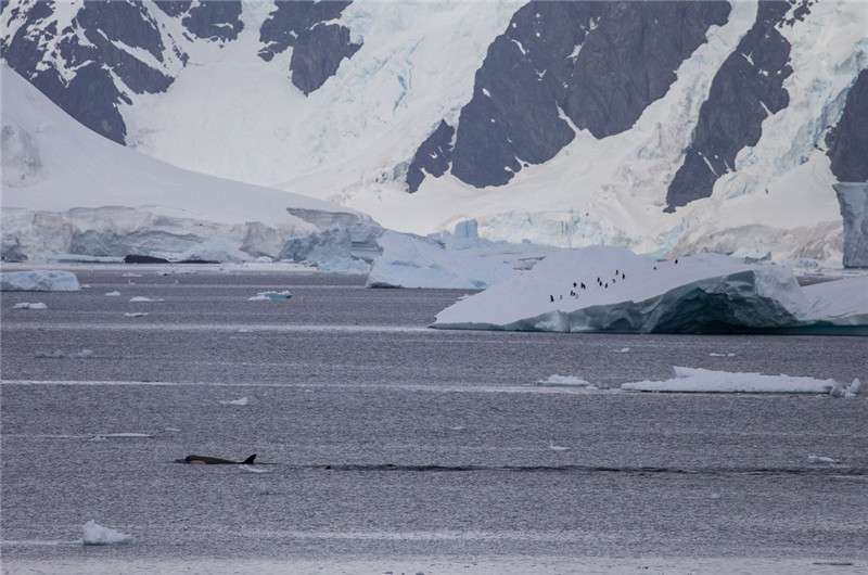 photo%2F0009%2F2019-03-19%2FEAK999RE0AI20009NOS