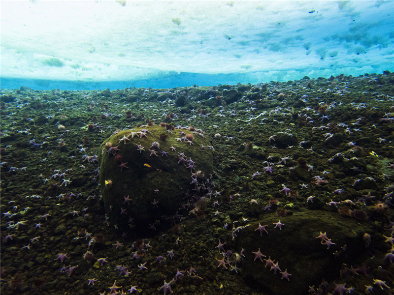 photo%2F0009%2F2019-03-19%2FEAK999R90AI20009NOS