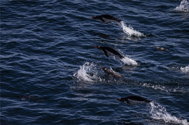 photo%2F0009%2F2019-03-19%2FEAK999QU0AI20009NOS