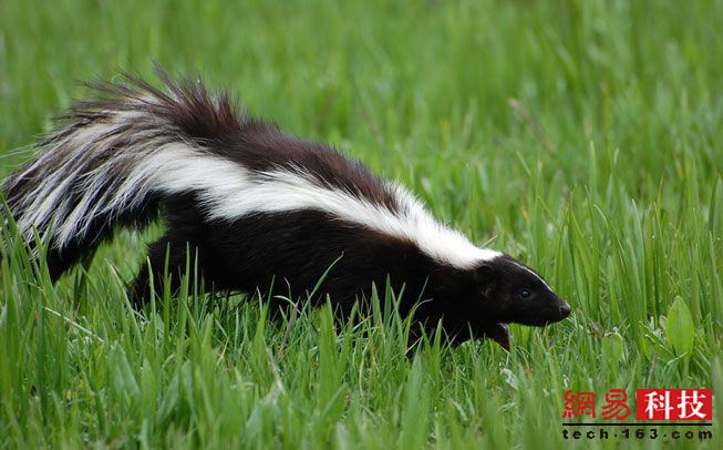 photo%2F0009%2F2019-04-11%2FECFFJLI30AI20009NOS