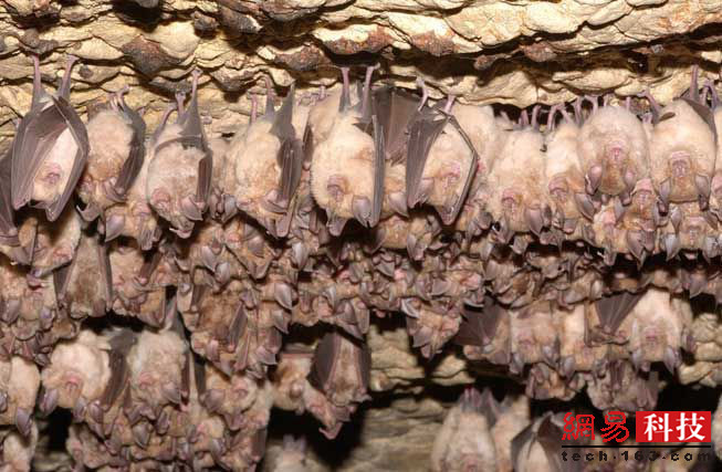 photo%2F0009%2F2019-04-11%2FECFFJLI20AI20009NOS