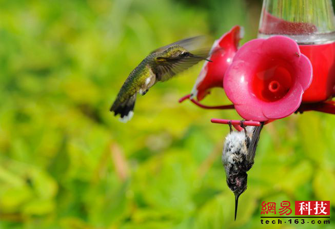 photo%2F0009%2F2019-04-11%2FECFFJLI10AI20009NOS