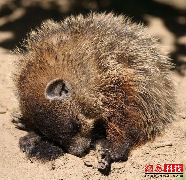 photo%2F0009%2F2019-04-11%2FECFFJLI00AI20009NOS