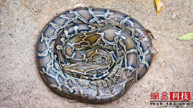 photo%2F0009%2F2019-04-11%2FECFFJLHU0AI20009NOS