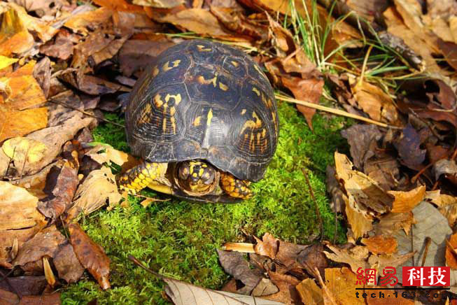 photo%2F0009%2F2019-04-11%2FECFFJLHT0AI20009NOS