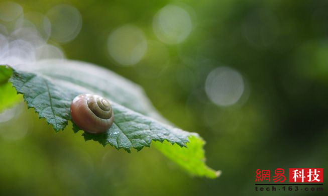 photo%2F0009%2F2019-04-11%2FECFFJLHS0AI20009NOS