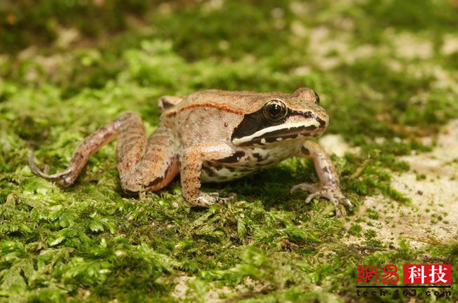 photo%2F0009%2F2019-04-11%2FECFFJLHQ0AI20009NOS