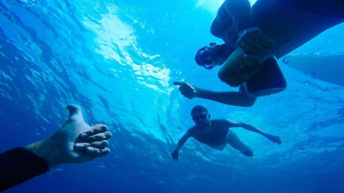 Young Activists Collected More Than 3 Tons Of Rubbish In Albanian Beaches