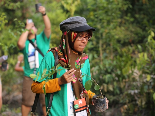 After A New Law, Students In Philippines Need To Plant 10 Trees To Graduate And It’ll Result In 525 Million New Trees In One Generation