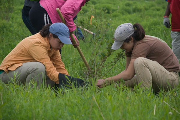 After A New Law, Students In Philippines Need To Plant 10 Trees To Graduate And It’ll Result In 525 Million New Trees In One Generation