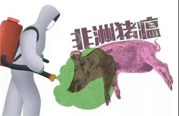 农业部打脸“可预防非洲猪瘟注射剂”：缺乏科学依据