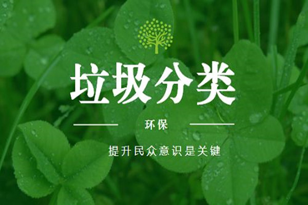 垃圾扔错要罚款！干垃圾、湿垃圾、厨余垃圾…究竟怎么分？