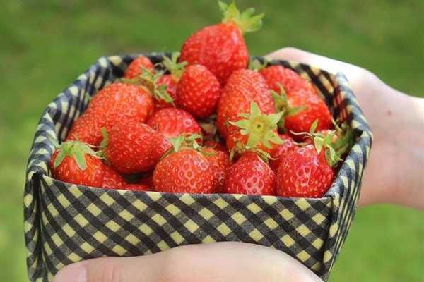 This 24-Year-Old Created Organic Zero-Waste Food Packaging To Replace Plastic