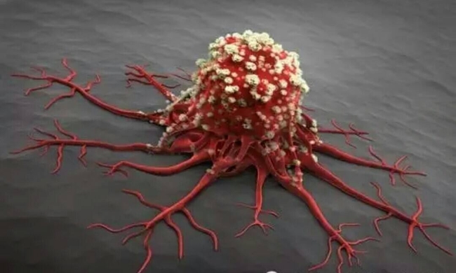 癌症.科学普及
