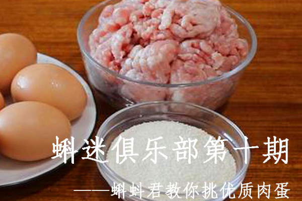 第十期蝌迷俱乐部 蝌蚪君教你挑优质肉蛋