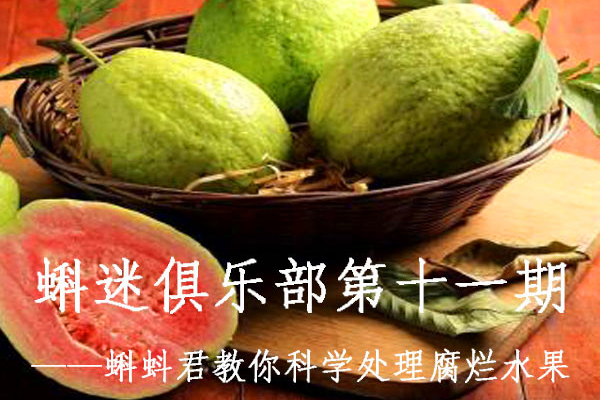 第十一期蝌迷俱乐部 蝌蚪君教你科学处理腐烂水果