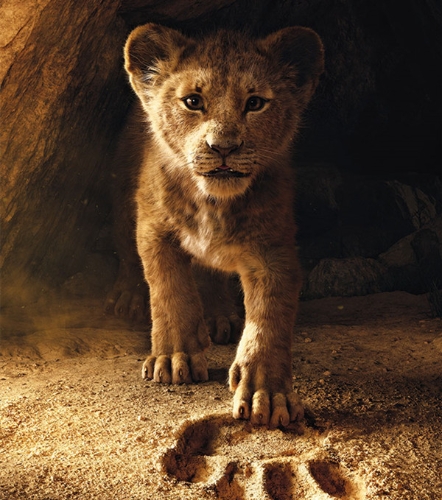 Beautiful Lion4