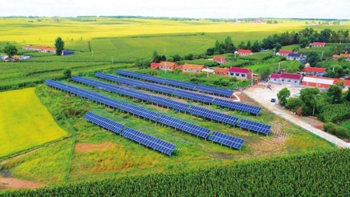 China-Japan Green Agriculture Conference1