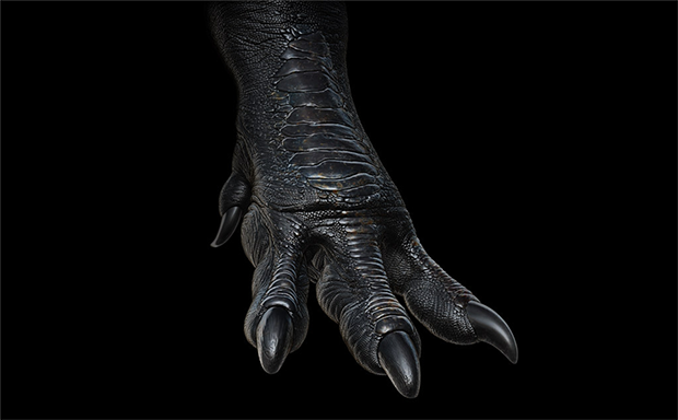 竟然被说是乌龟恐龙脸还要不要了