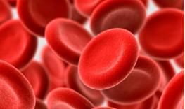 anemia2