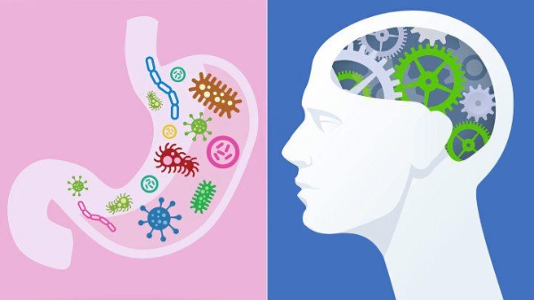 肠道菌群（图片来源：everydayhealth）