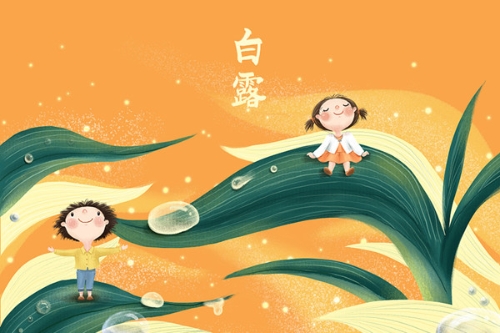 关于白露你应该知道的八件事