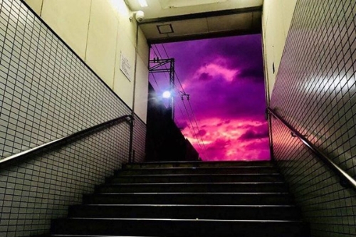 紫色天空