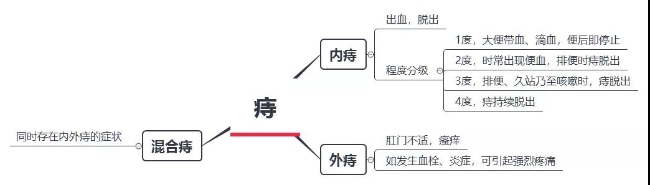 痔的分类、表现与程度