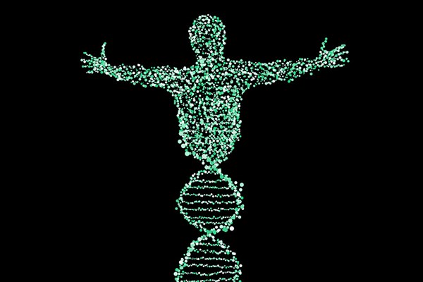 打破教科书理论：健康人群染色体的亲本来源组成也可能不是1:1