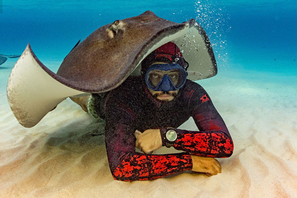 从与鲨共舞到被鱼群吞噬 这些刺激的潜水奇遇你经历过吗？