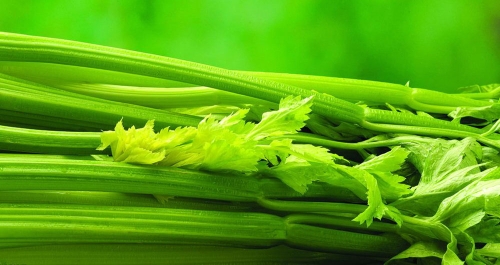 芹菜