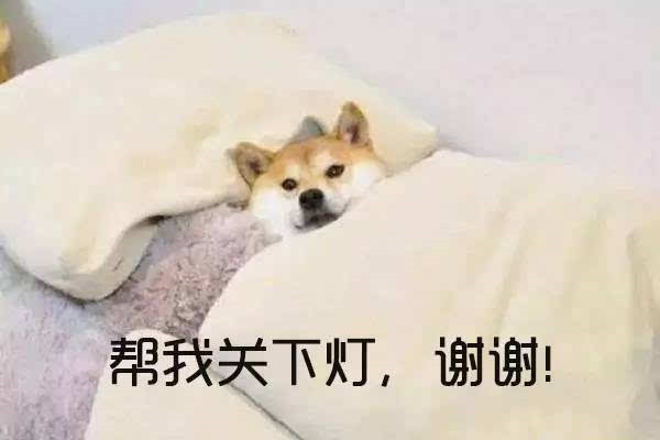 别再纠结早睡早起好还是晚睡晚起好了，那是基因决定的