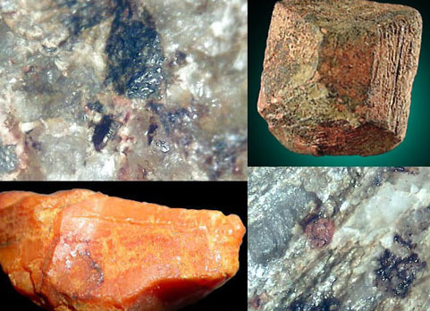 蝌蚪五线谱 - 专注做权威、有趣、贴近生活的互联网科学传播