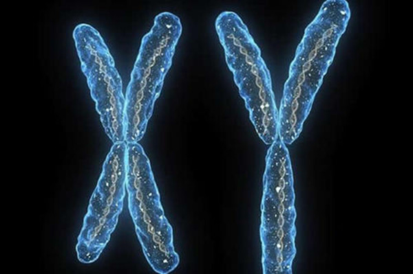我们的身体是允许DNA犯错的，20%的男人Y染色体正在流失