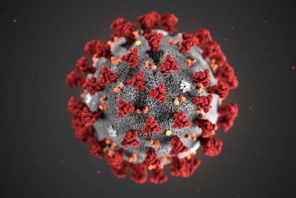 2019新冠病毒是一种被故意操纵的实验室合成病毒吗？