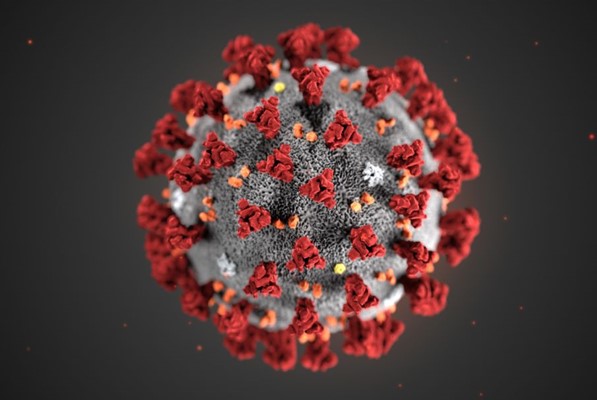 双语：Several major facts about novel coronavirus   新型冠状病毒的几大真相——辟谣篇