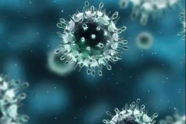 双语：Science popularization of novel coronavirus ——treatment  关于新型冠状病毒的科普——治疗篇  