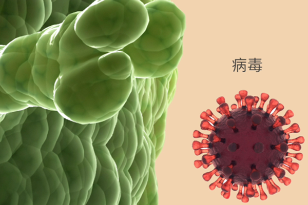 原创科普——细菌和病毒的直观区别