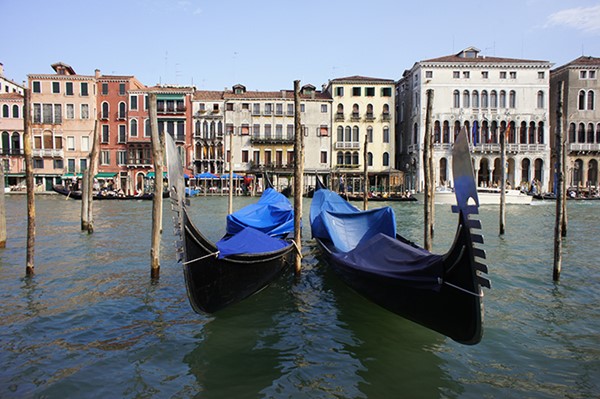 Water In Venice Canals Goes Crystal Clear After Coronavirus Lockdown