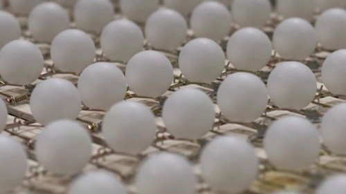 保持社会距离 保持社会距离