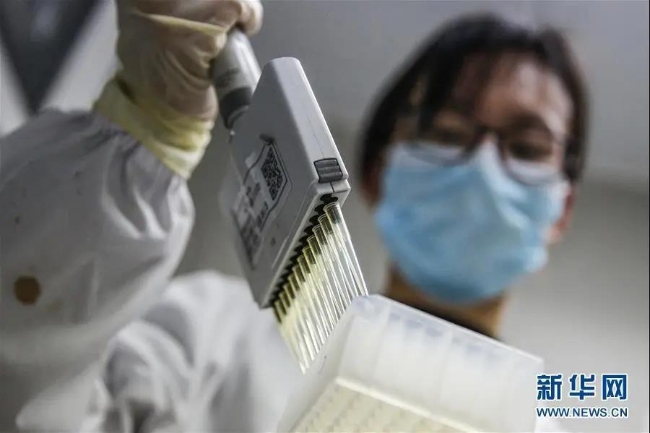 3月16日，工作人员在科兴中维质检实验室进行新型冠状病毒灭活疫苗IgG抗体效价检测。 新华社记者 张玉薇 摄