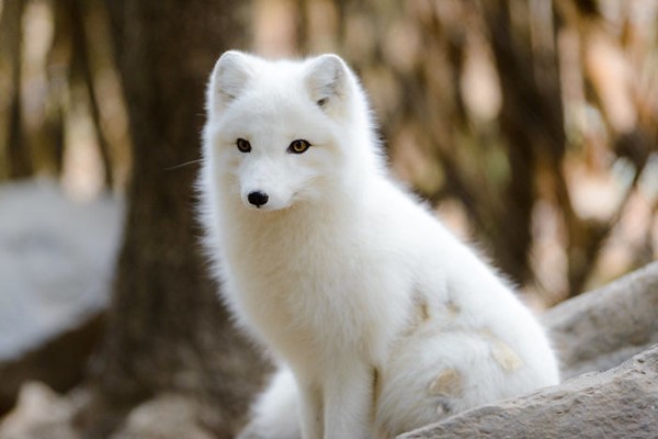 Zookeepers Share How Animals Are Reacting To The Lack Of Visitors