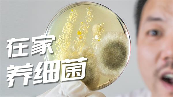 叫孩子洗手催了800遍！硬核爸爸这样做，2天后娃乖乖去洗手！
