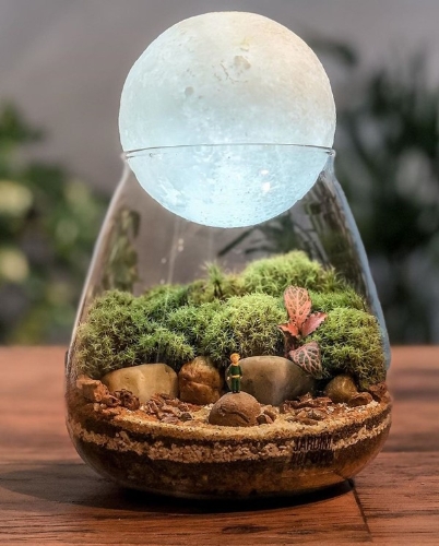 这些艺术家把微型的，自我可持续的生态系统放在玻璃容器里