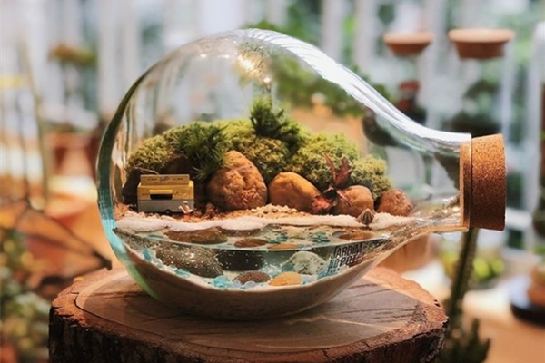 These Artists Put Micro, Self-Sustainable Ecosystems In Glass Containers