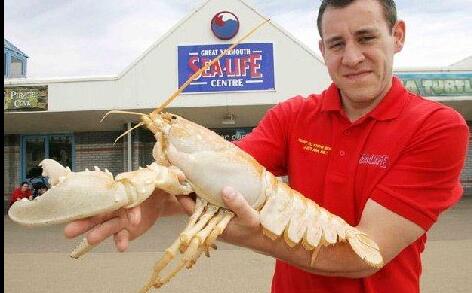 TIM截图20200724161807