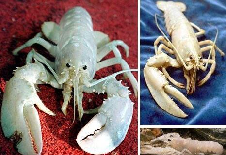 TIM截图20200724161801