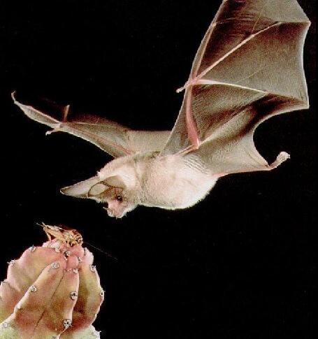 TIM截图20200724161755